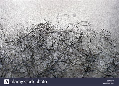 pubic hair images|Pubic Hair Images – Browse 2,781,119 Stock Photos, Vectors,。